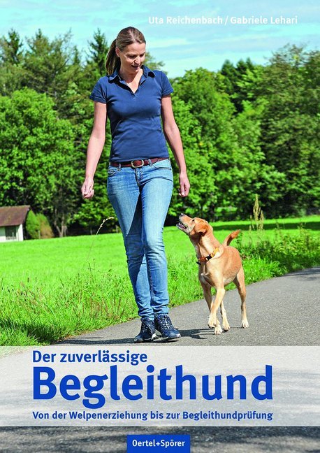 Der zuverlässige Begleithund main product photo