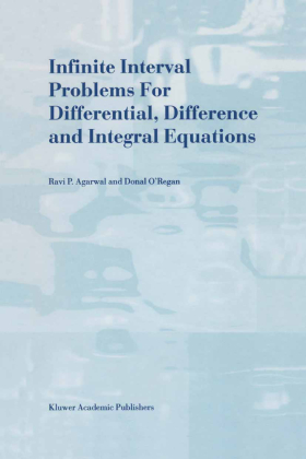Infinite Interval Problems for Differential, Difference and In...