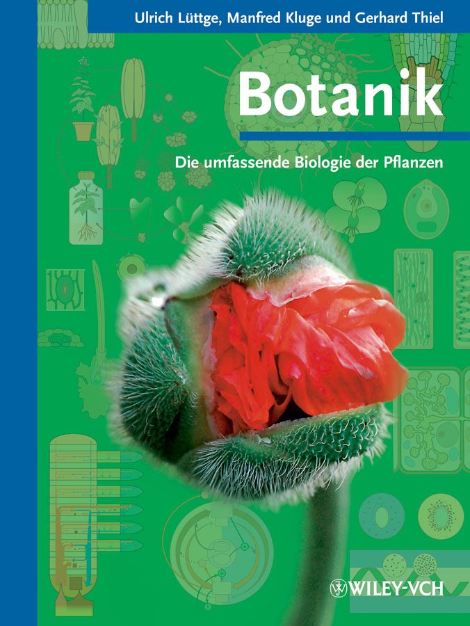 Botanik main product photo