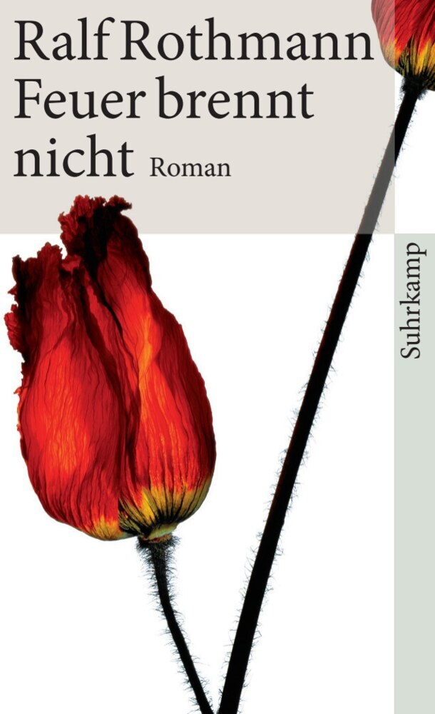 Feuer brennt nicht main product photo