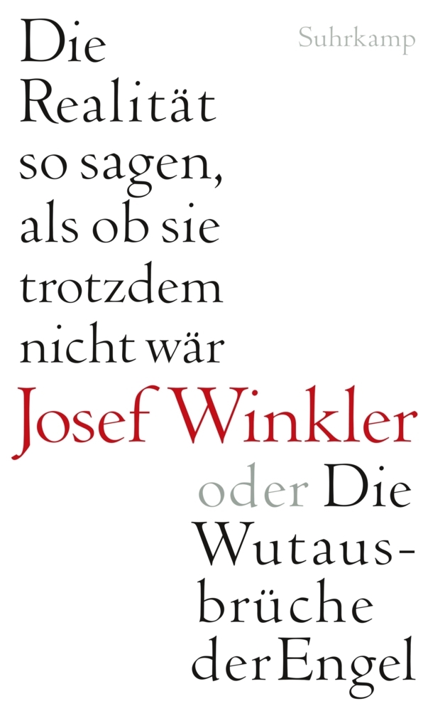 Die Realität so sagen, als ob sie trotzdem nicht wär oder Die Wutausbrüche der Engel main product photo