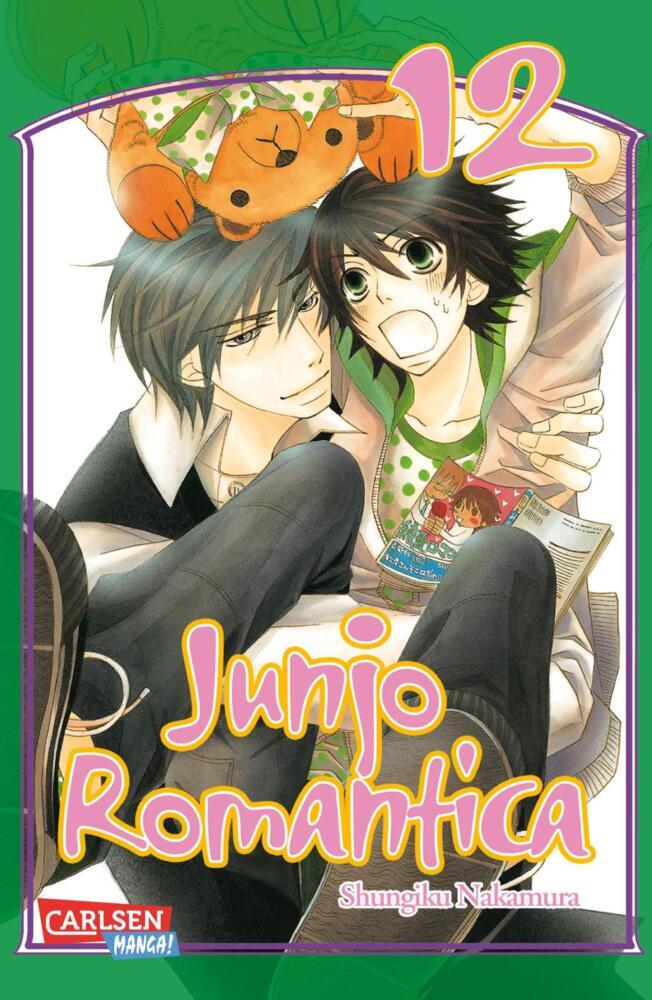 Junjo Romantica 12 main product photo