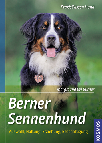 Berner Sennenhund main product photo