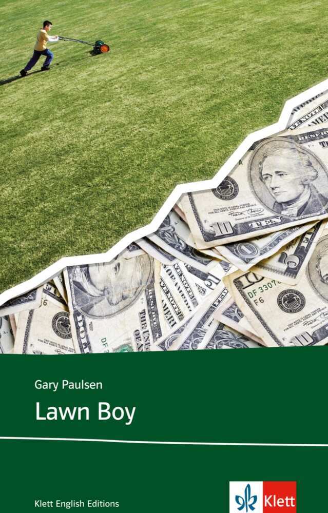 Lawn Boy main product photo