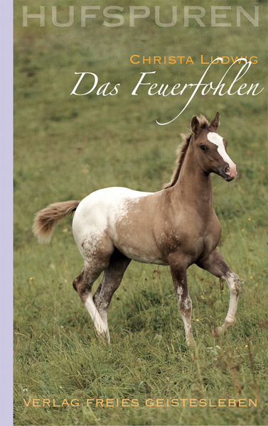 Hufspuren. Das Feuerfohlen main product photo