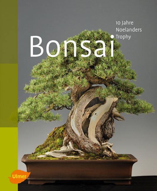 Bonsai main product photo