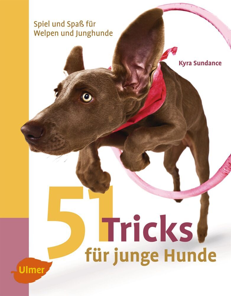 51 Tricks für junge Hunde main product photo
