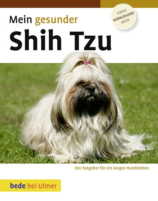 Mein gesunder Shih Tzu main product photo