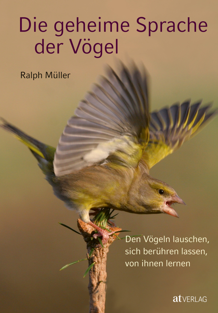Die geheime Sprache der Vögel main product photo