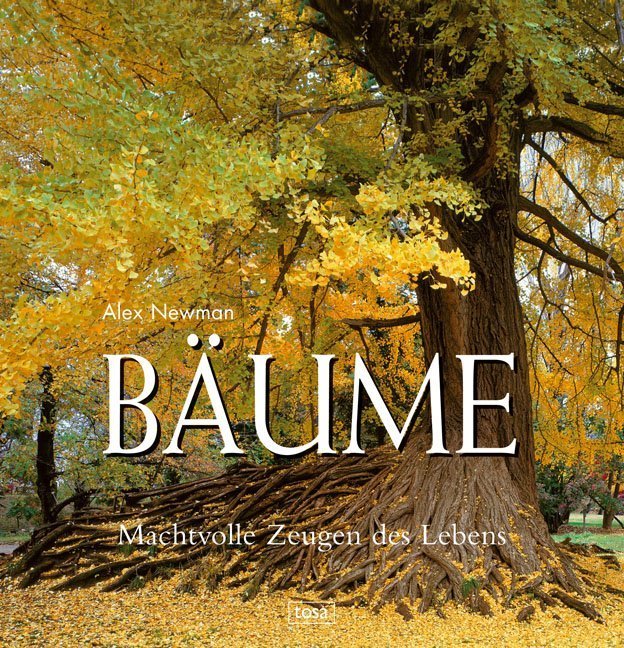 Bäume main product photo