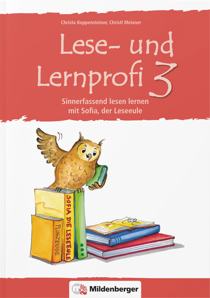 Lese- und Lernprofi 3 - Arbeitsheft main product photo