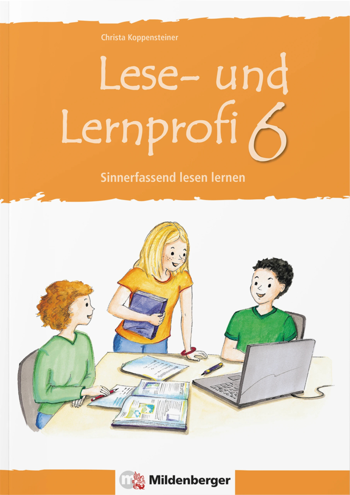 Lese- und Lernprofi 6 - Arbeitsheft main product photo