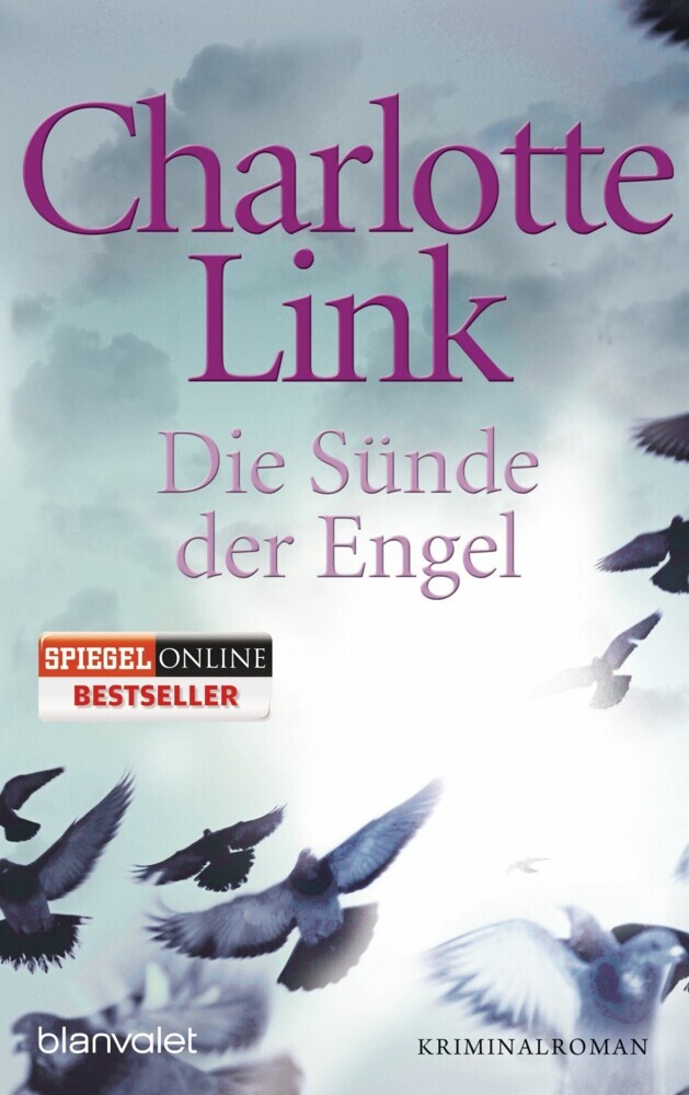 Die Sünde der Engel main product photo