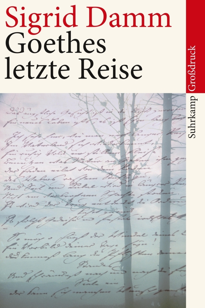 Goethes letzte Reise, Großdruck main product photo