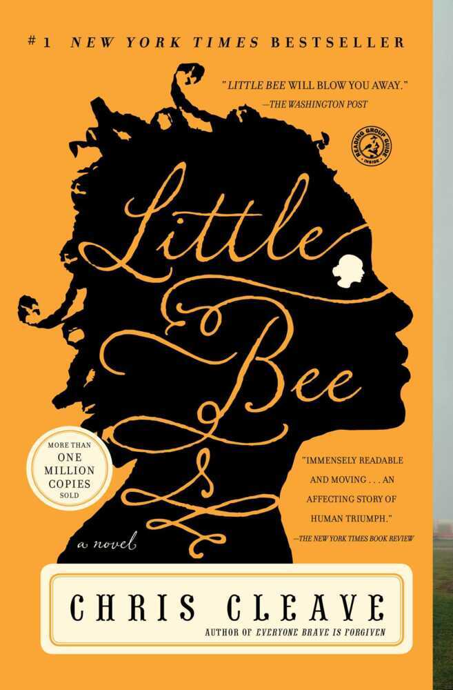 Little Bee main product photo