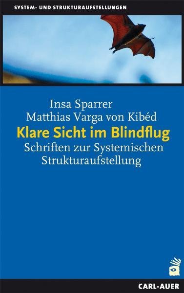 Klare Sicht im Blindflug main product photo
