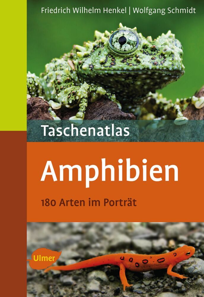 Taschenatlas Amphibien main product photo