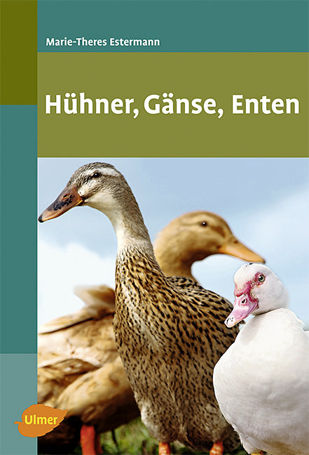 Hühner, Gänse, Enten main product photo