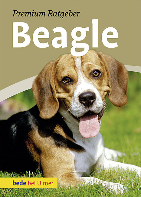 Beagle main product photo
