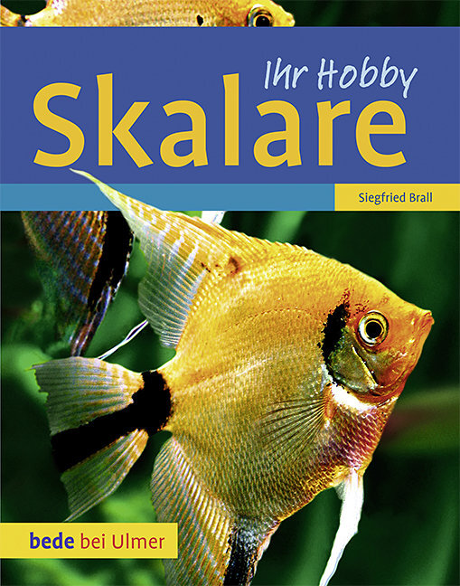 Skalare main product photo