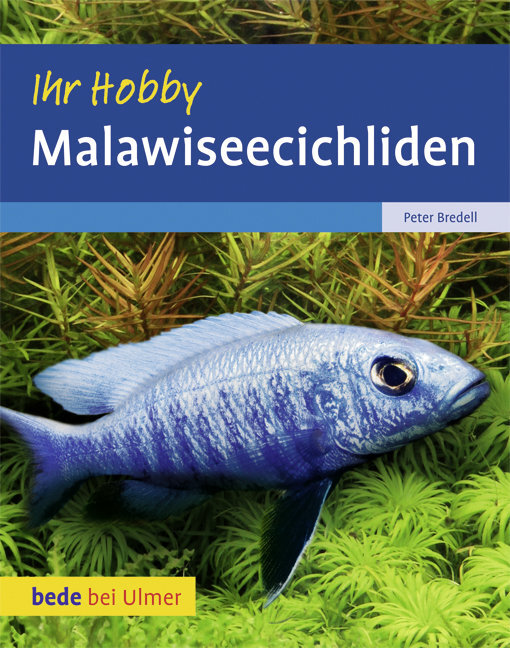 Malawiseecichliden main product photo
