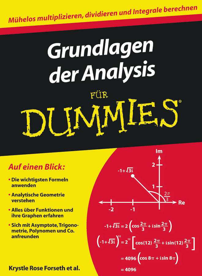 Grundlagen der Analysis für Dummies main product photo