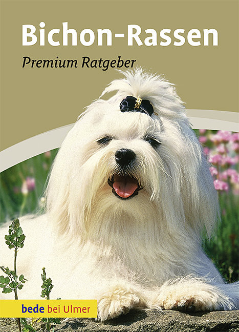 Bichon-Rassen main product photo