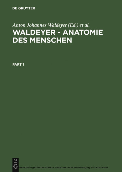 Waldeyer - Anatomie des Menschen main product photo