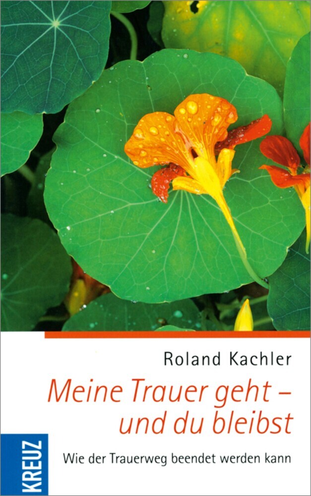 Meine Trauer geht - und du bleibst main product photo