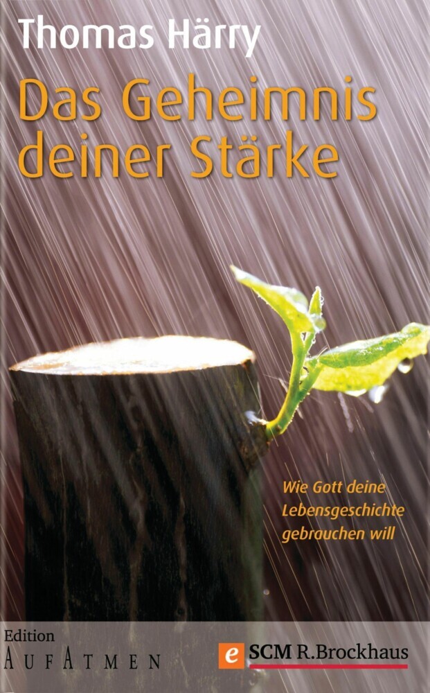 Das Geheimnis deiner Stärke main product photo