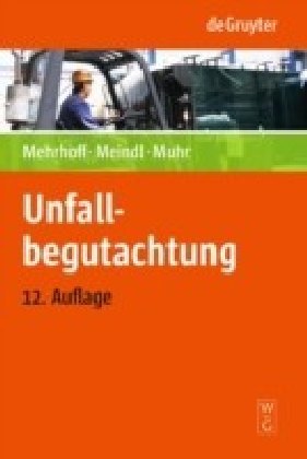 Unfallbegutachtung main product photo