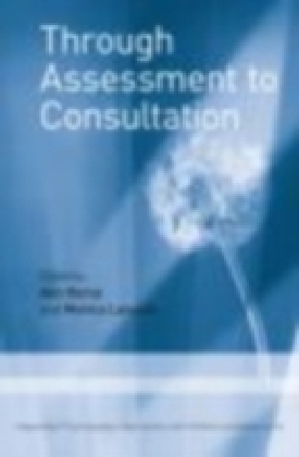 Through Assessment to Consultation main product photo