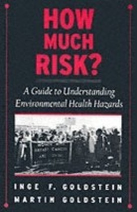 How Much Risk?