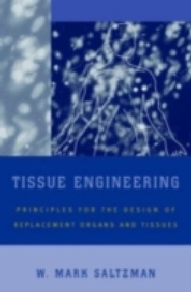 Tissue Engineering