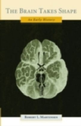 Brain Takes Shape