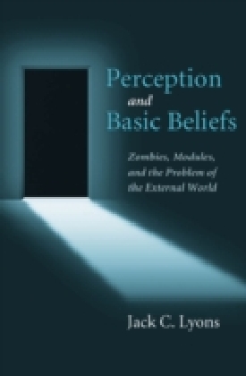 Perception and Basic Beliefs main product photo