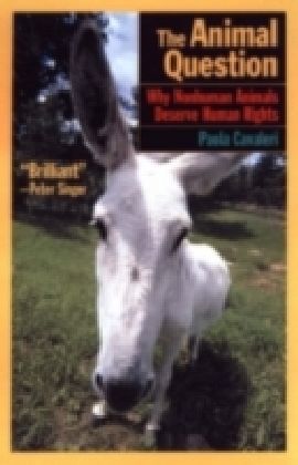 Animal Question