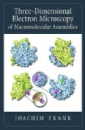 Three-Dimensional Electron Microscopy of Macromolecular Assemblies