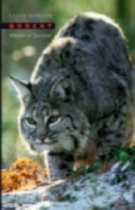 Bobcat Master of Survival