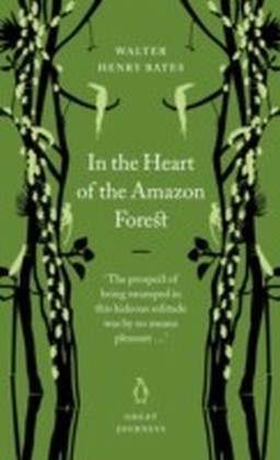 In the Heart of the Amazon Forest