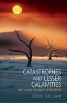 Catastrophes and Lesser Calamities