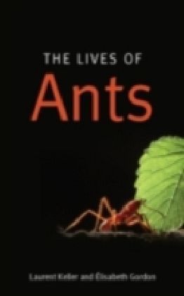 Lives Of Ants