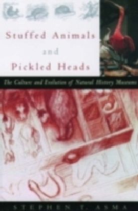 Stuffed Animals and Pickled Heads