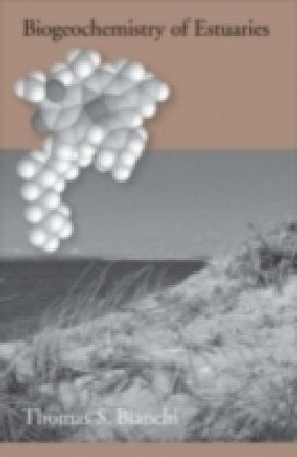 Biogeochemistry of Estuaries