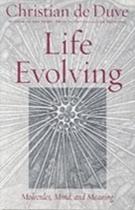 Life Evolving main product photo