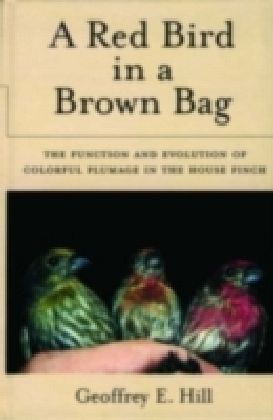 Red Bird in a Brown Bag