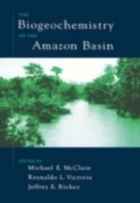 Biogeochemistry of the Amazon Basin