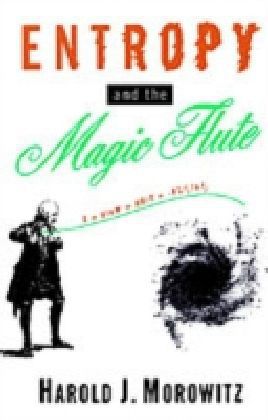 Entropy and the Magic Flute