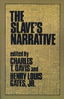 Slave's Narrative