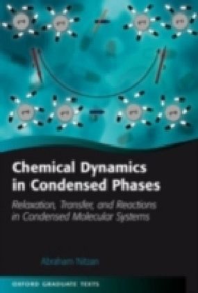 Chemical Dynamics in Condensed Phases